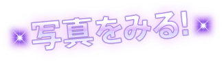 写真をみる！