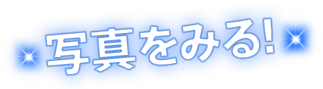 写真をみる！
