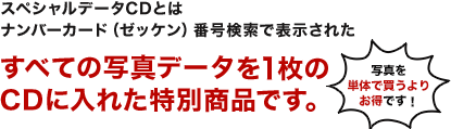 スペシャルデータCDとはナンバーカード（ゼッケン）番号検索で表示された全ての写真データを1枚のCDに入れた特別商品です。写真を単体で買うよりお得です！
